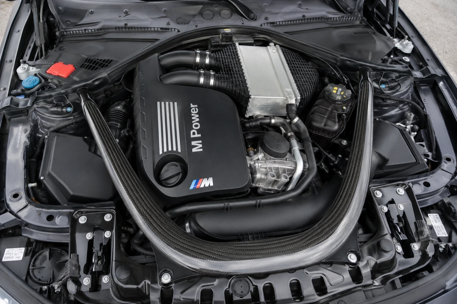 Clean, detailed BMW M engine bay after an engine bay detail in Newton, MA